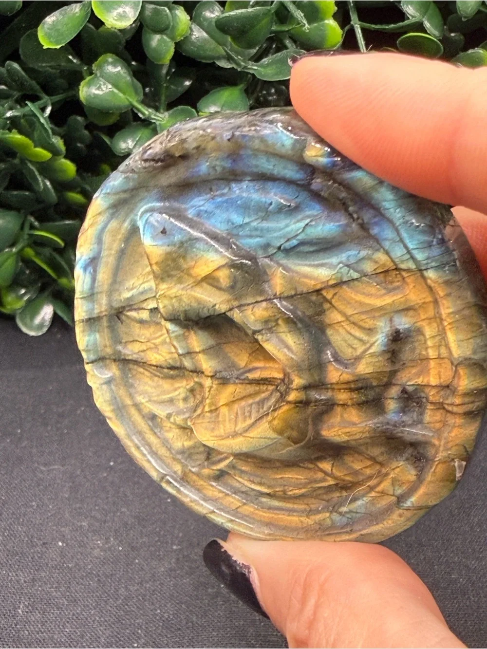 Full Flash Labradorite Shark Medallion